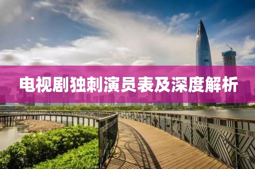 电视剧独刺演员表及深度解析