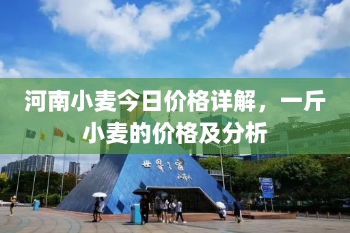 河南小麦今日价格详解，一斤小麦的价格及分析