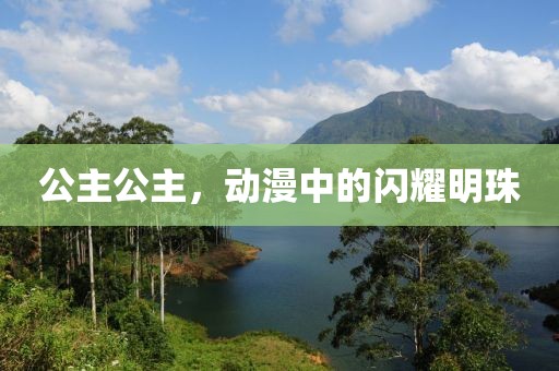 公主公主，动漫中的闪耀明珠
