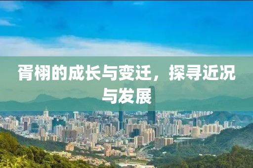 胥栩的成长与变迁，探寻近况与发展