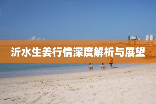 沂水生姜行情深度解析与展望