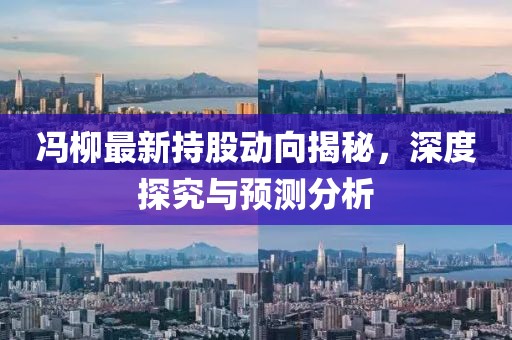 冯柳最新持股动向揭秘，深度探究与预测分析