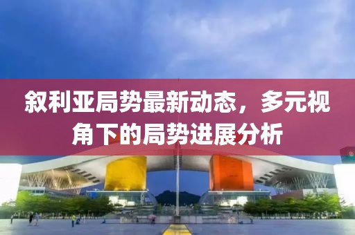 叙利亚局势最新动态，多元视角下的局势进展分析