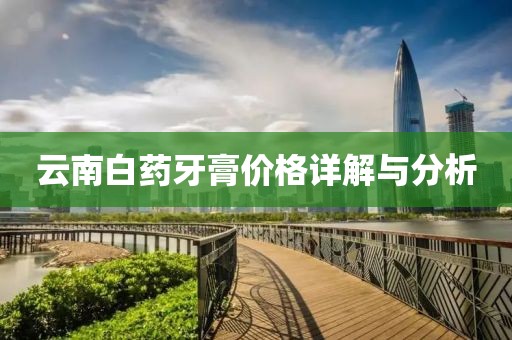 云南白药牙膏价格详解与分析