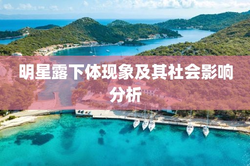 明星露下体现象及其社会影响分析