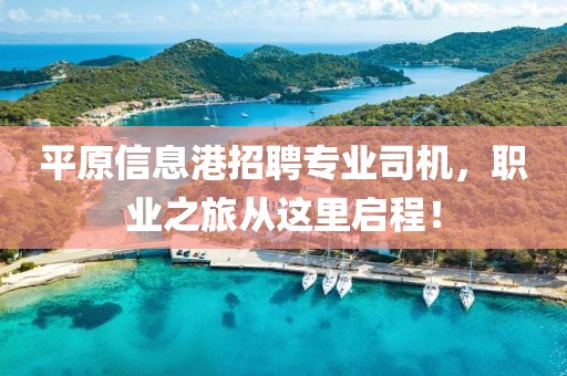 雪花拥抱阳光 第10页