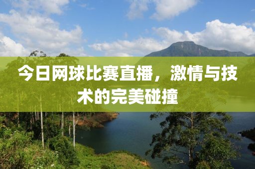 今日网球比赛直播，激情与技术的完美碰撞