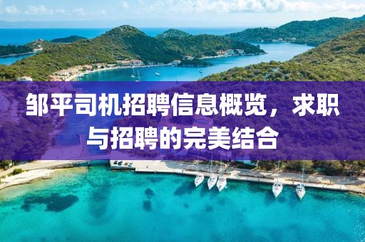邹平司机招聘信息概览，求职与招聘的完美结合