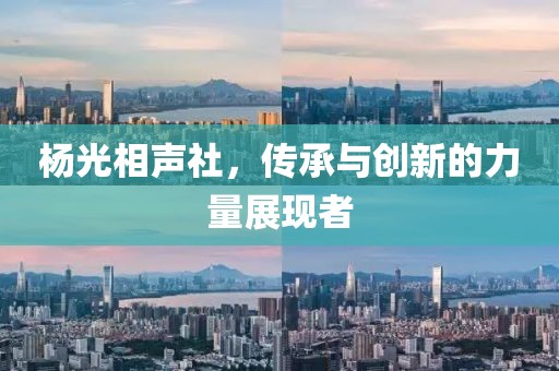 杨光相声社，传承与创新的力量展现者