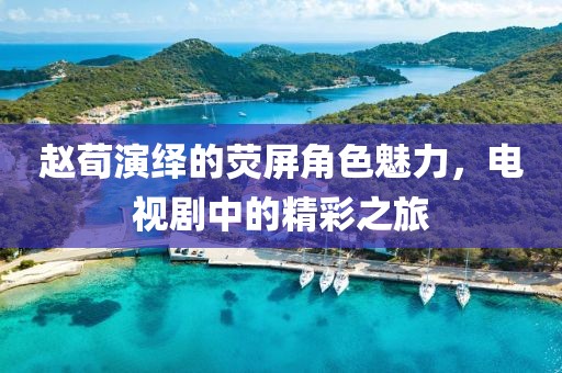 赵荀演绎的荧屏角色魅力，电视剧中的精彩之旅