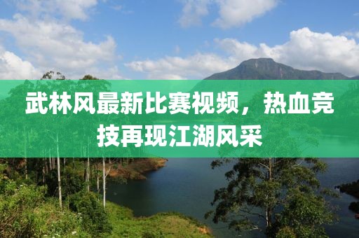 武林风最新比赛视频，热血竞技再现江湖风采