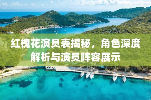 红槐花演员表揭秘，角色深度解析与演员阵容展示