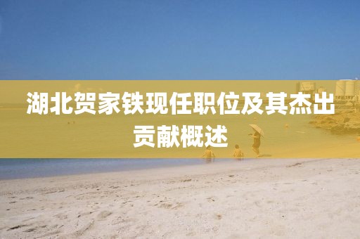 湖北贺家铁现任职位及其杰出贡献概述