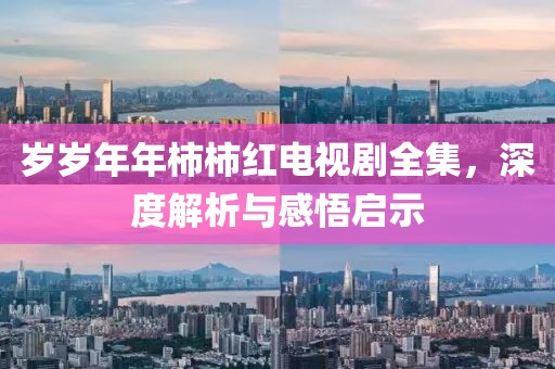 岁岁年年柿柿红电视剧全集，深度解析与感悟启示