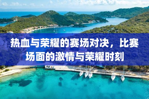 热血与荣耀的赛场对决，比赛场面的激情与荣耀时刻