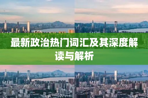 最新政治热门词汇及其深度解读与解析