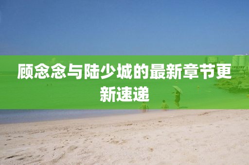 顾念念与陆少城的最新章节更新速递