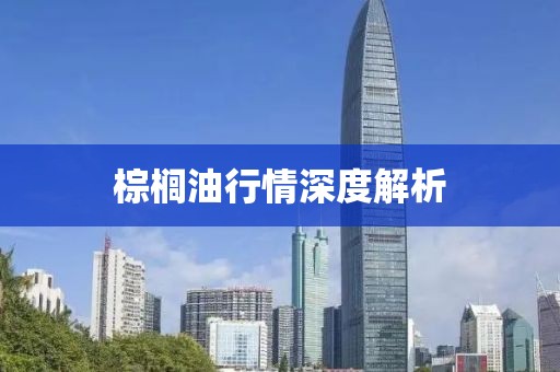 棕榈油行情深度解析