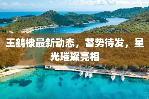 王鹤棣最新动态，蓄势待发，星光璀璨亮相