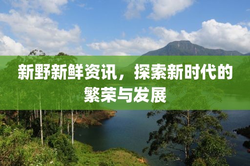 新野新鲜资讯，探索新时代的繁荣与发展