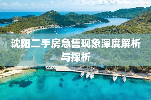 沈阳二手房急售现象深度解析与探析