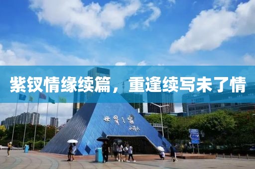 紫钗情缘续篇，重逢续写未了情