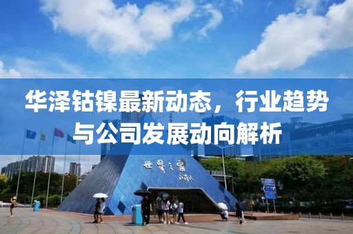 华泽钴镍最新动态，行业趋势与公司发展动向解析