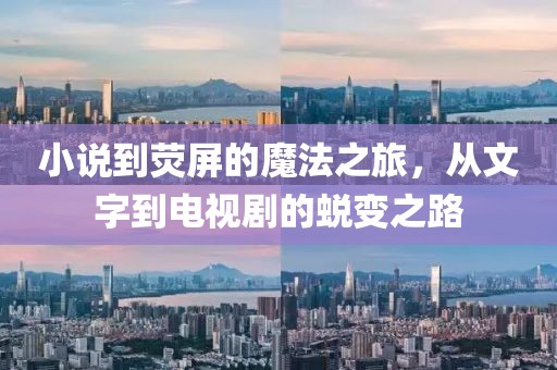 小说到荧屏的魔法之旅，从文字到电视剧的蜕变之路