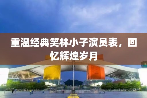 重温经典笑林小子演员表，回忆辉煌岁月