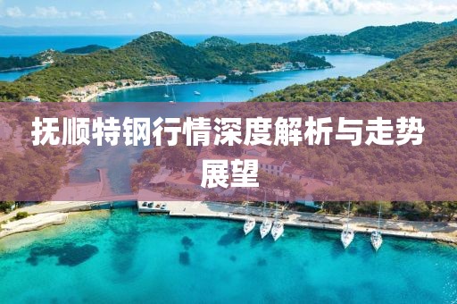 抚顺特钢行情深度解析与走势展望