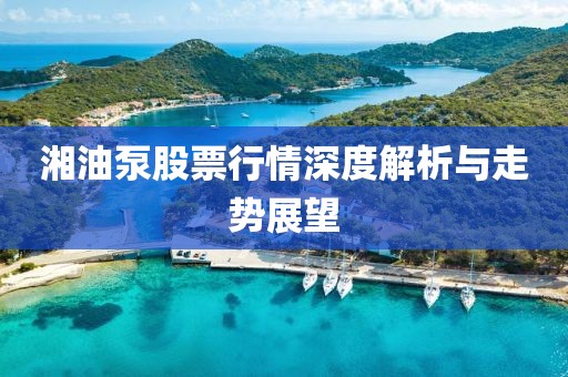 湘油泵股票行情深度解析与走势展望