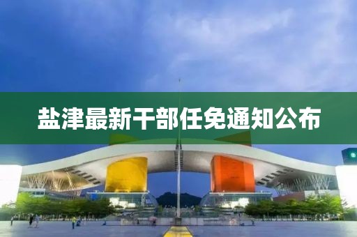 盐津最新干部任免通知公布