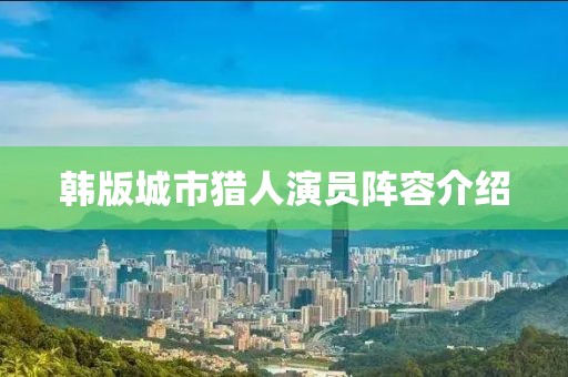 韩版城市猎人演员阵容介绍