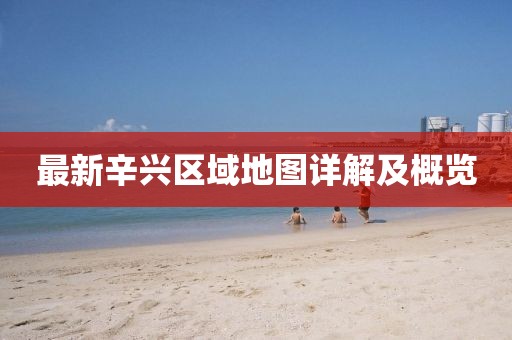 最新辛兴区域地图详解及概览