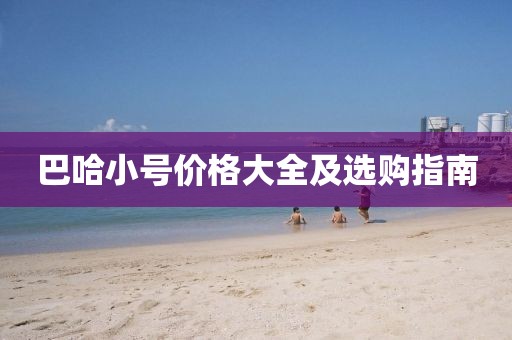 失忆三叶草 第17页