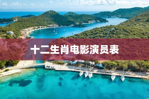 十二生肖电影演员表