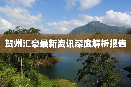 贺州汇豪最新资讯深度解析报告