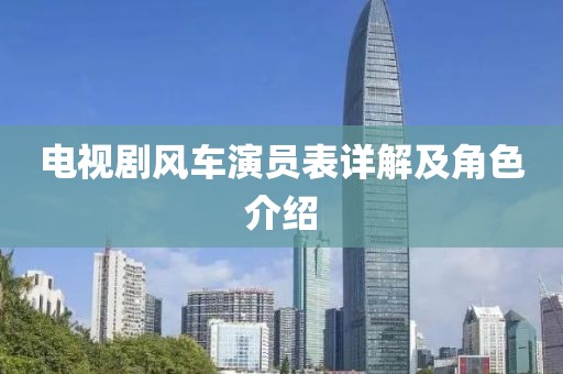 电视剧风车演员表详解及角色介绍