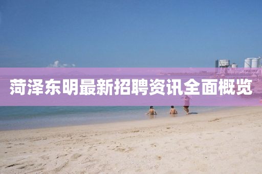 菏泽东明最新招聘资讯全面概览