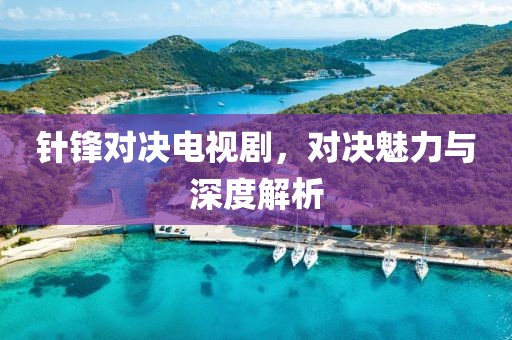 针锋对决电视剧，对决魅力与深度解析