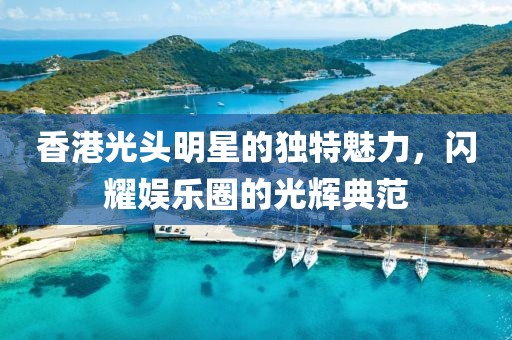 香港光头明星的独特魅力，闪耀娱乐圈的光辉典范