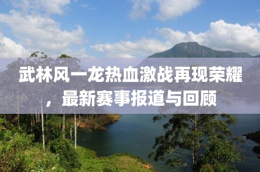 武林风一龙热血激战再现荣耀，最新赛事报道与回顾