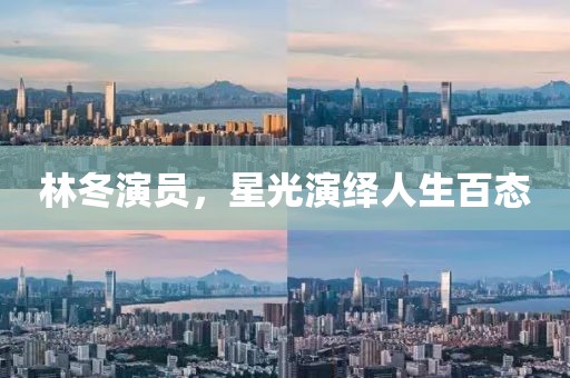 林冬演员，星光演绎人生百态