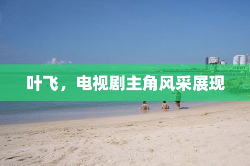 叶飞，电视剧主角风采展现