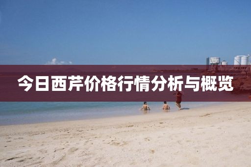 今日西芹价格行情分析与概览