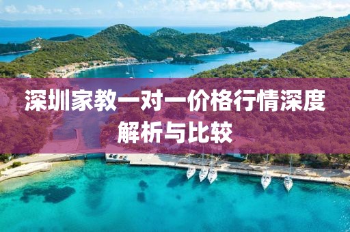 深圳家教一对一价格行情深度解析与比较