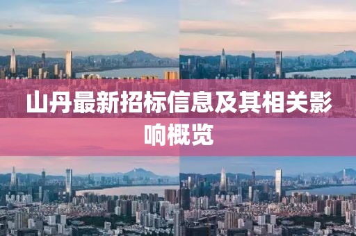 山丹最新招标信息及其相关影响概览