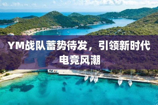 YM战队蓄势待发，引领新时代电竞风潮