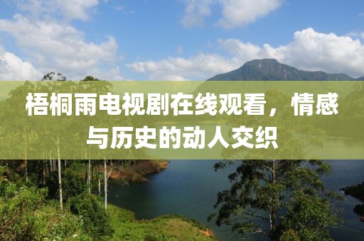 梧桐雨电视剧在线观看，情感与历史的动人交织