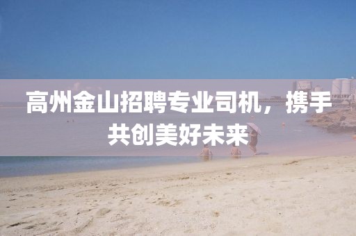 高州金山招聘专业司机，携手共创美好未来